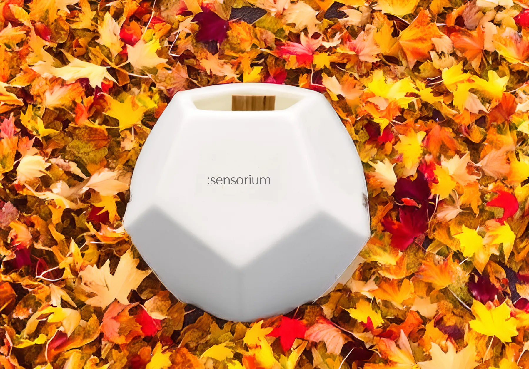 Sensorium FALLEN LEAVES Candle