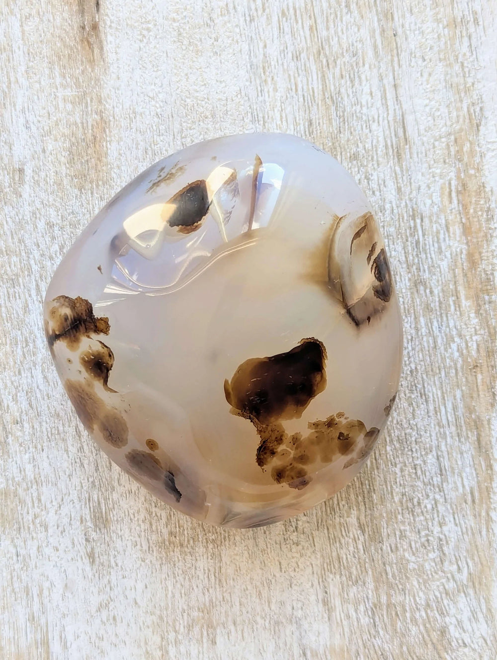 Dendritic Agate — Root