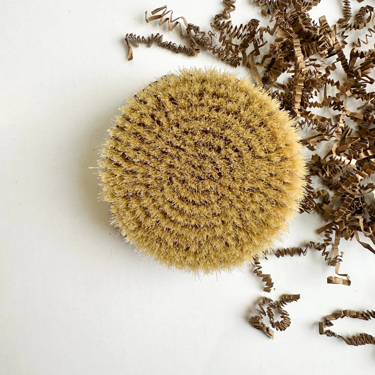 Ebony Wood Dry Body Brush | Natural Boar Bristles