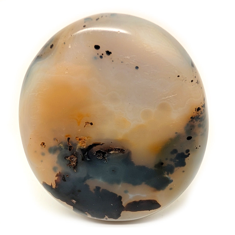 Dendritic Agate — Root